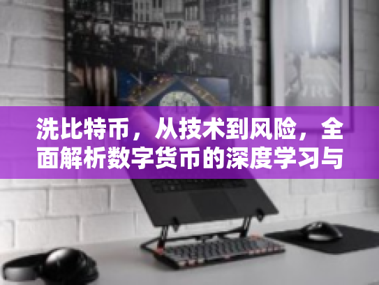 洗比特币，从技术到风险，全面解析数字货币的深度学习与投资策略