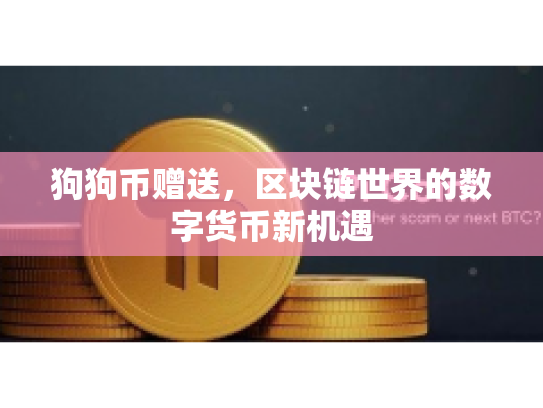 狗狗币赠送，区块链世界的数字货币新机遇