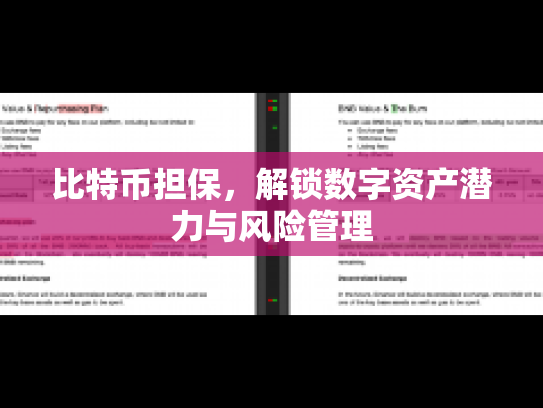 比特币担保，解锁数字资产潜力与风险管理