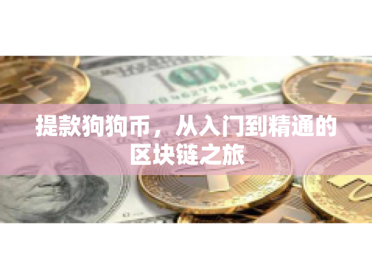 提款狗狗币，从入门到精通的区块链之旅