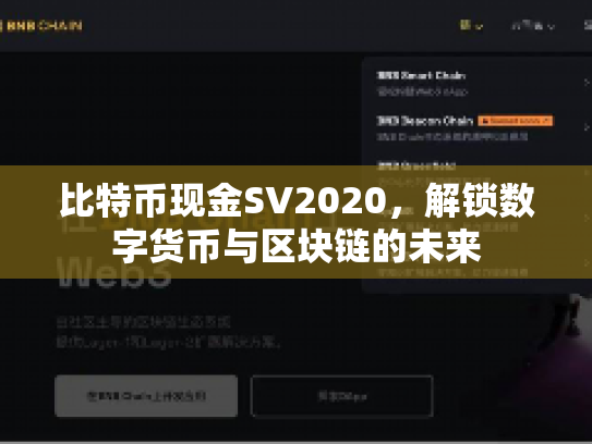 比特币现金SV2020，解锁数字货币与区块链的未来