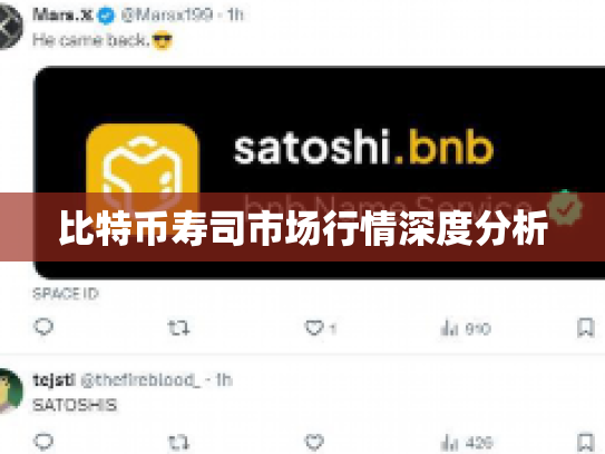 比特币寿司市场行情深度分析 比特币寿司市场行情深度分析