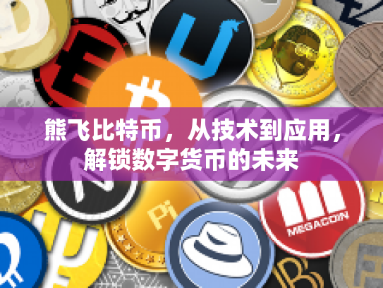 熊飞比特币，从技术到应用，解锁数字货币的未来