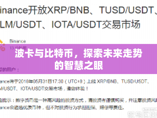 波卡与比特币,探索未来走势的智慧之眼 波卡与比特币,探索未来走势的智慧之眼