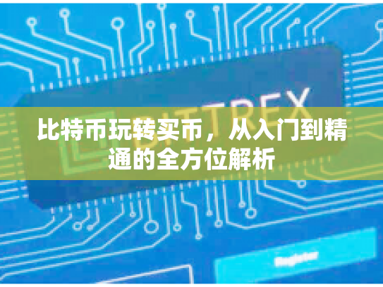 比特币玩转买币,从入门到精通的全方位解析 比特币玩转买币,从入门到精通的全方位解析