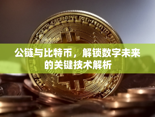 公链与比特币，解锁数字未来的关键技术解析