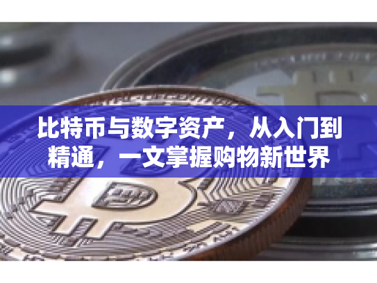 比特币与数字资产，从入门到精通，一文掌握购物新世界