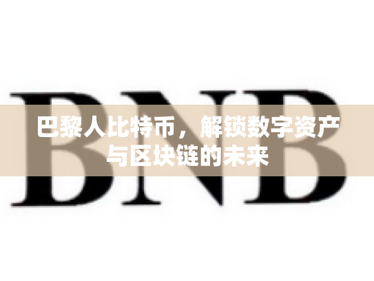 巴黎人比特币，解锁数字资产与区块链的未来