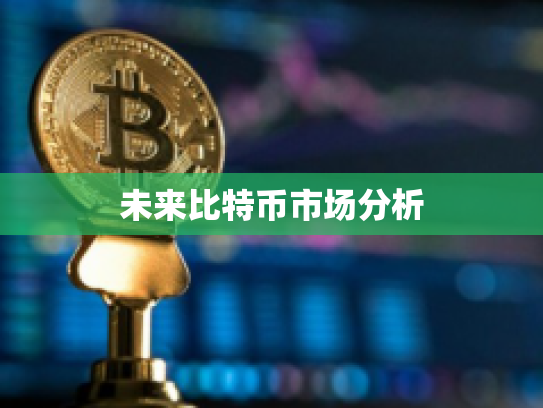 未来比特币市场分析 未来比特币市场分析