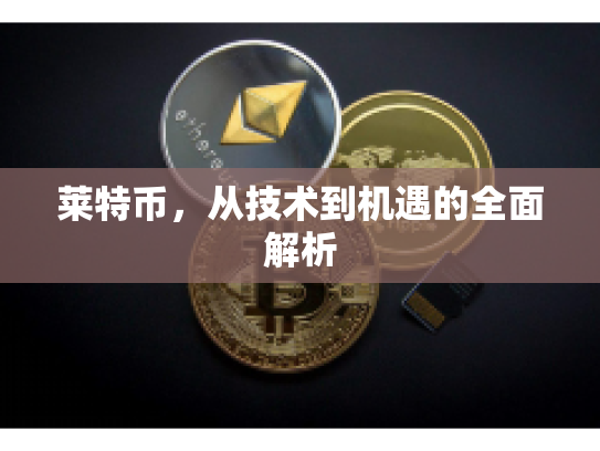 莱特币，从技术到机遇的全面解析