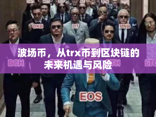 波场币,从trx币到区块链的未来机遇与风险 波场币,从trx币到区块链的未来机遇与风险