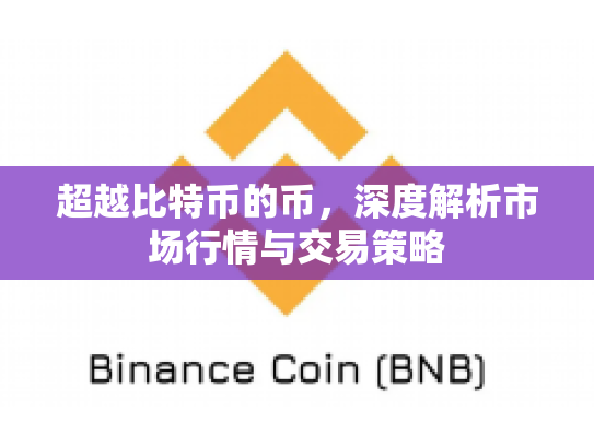 超越比特币的币，深度解析市场行情与交易策略