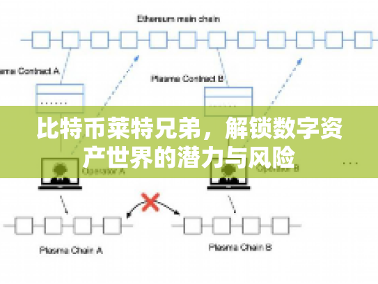 比特币莱特兄弟,解锁数字资产世界的潜力与风险 比特币莱特兄弟,解锁数字资产世界的潜力与风险