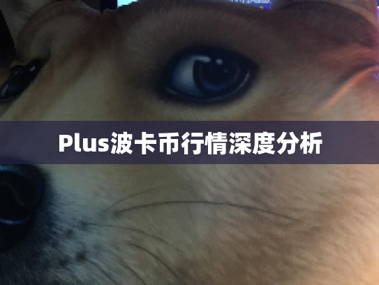Plus波卡币行情深度分析 Plus波卡币行情深度分析