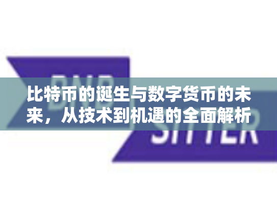 比特币的诞生与数字货币的未来,从技术到机遇的全面解析 比特币的诞生与数字货币的未来,从技术到机遇的全面解析