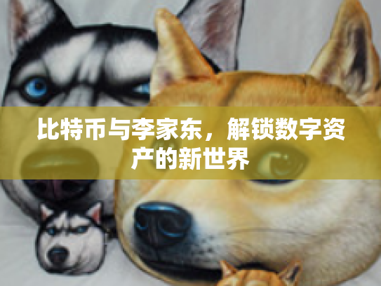 比特币与李家东,解锁数字资产的新世界 比特币与李家东,解锁数字资产的新世界