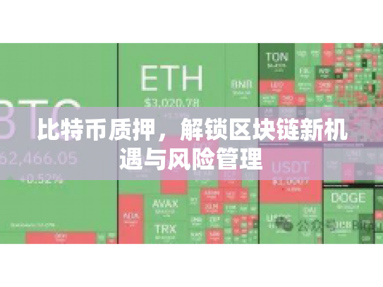 比特币质押,解锁区块链新机遇与风险管理 比特币质押,解锁区块链新机遇与风险管理