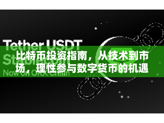 比特币投资指南，从技术到市场，理性参与数字货币的机遇与风险