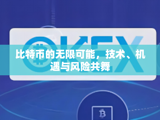 比特币的无限可能,技术、机遇与风险共舞 比特币的无限可能,技术、机遇与风险共舞