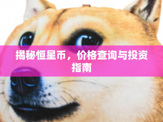 揭秘恒星币，价格查询与投资指南