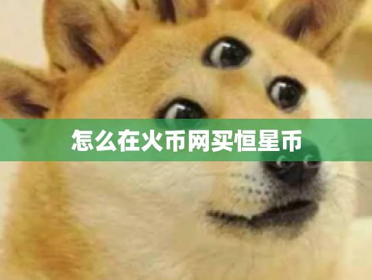 怎么在火币网买恒星币