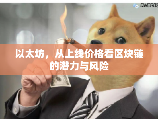 以太坊,从上线价格看区块链的潜力与风险 以太坊,从上线价格看区块链的潜力与风险