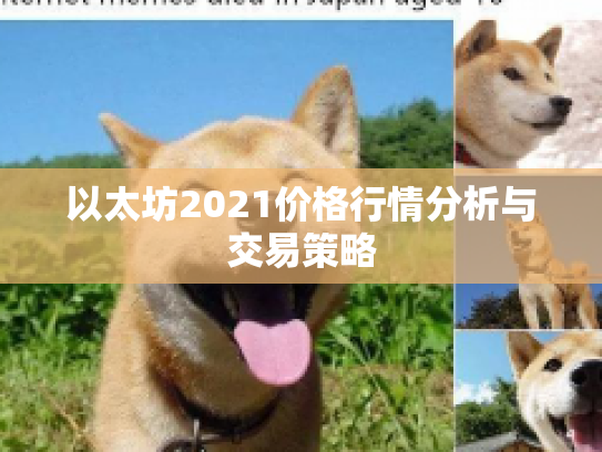 以太坊2021价格行情分析与交易策略 以太坊2021价格行情分析与交易策略