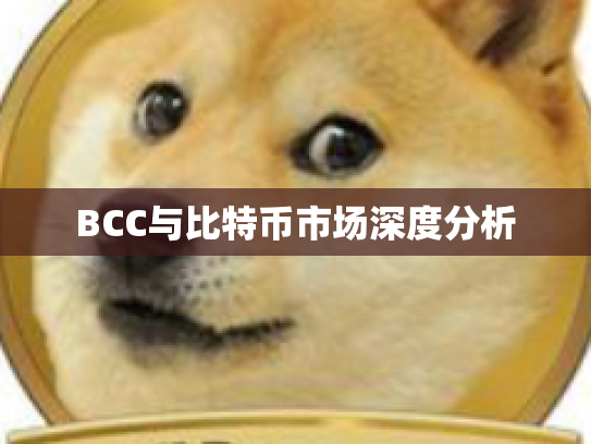 BCC与比特币市场深度分析 BCC与比特币市场深度分析