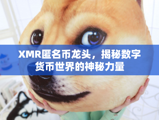 XMR匿名币龙头，揭秘数字货币世界的神秘力量