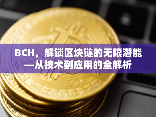 BCH,解锁区块链的无限潜能—从技术到应用的全解析 BCH,解锁区块链的无限潜能—从技术到应用的全解析