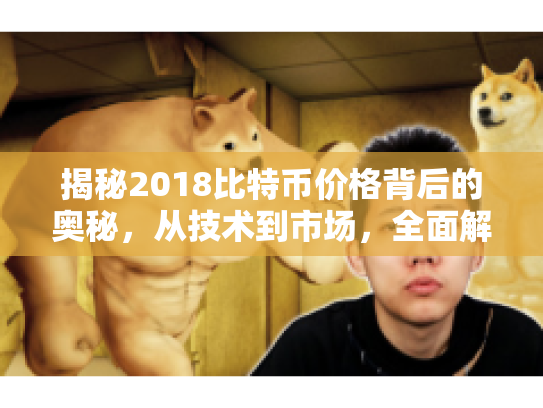 揭秘2018比特币价格背后的奥秘,从技术到市场,全面解析数字货币的潜力与风险 揭秘2018比特币价格背后的奥秘,从技术到市场,全面解析数字货币的潜力与风险