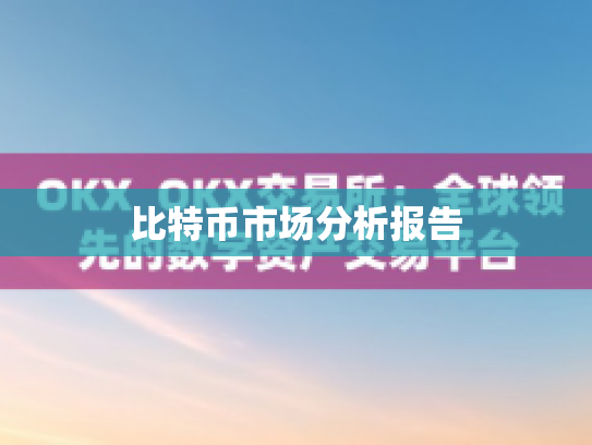 比特币市场分析报告 比特币市场分析报告