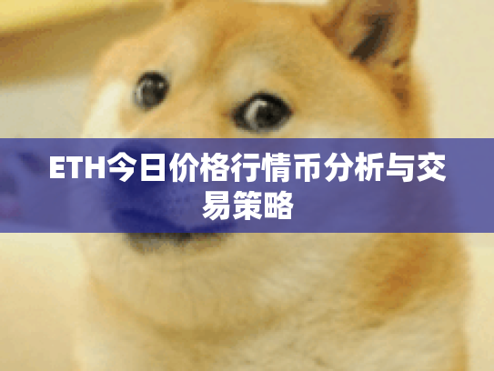 ETH今日价格行情币分析与交易策略 ETH今日价格行情币分析与交易策略
