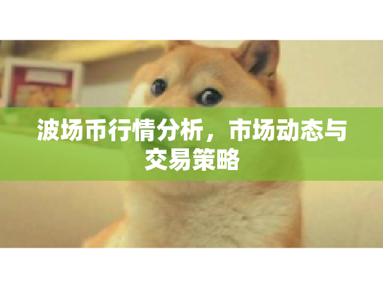 波场币行情分析，市场动态与交易策略