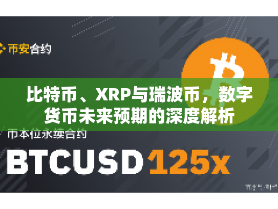比特币、XRP与瑞波币，数字货币未来预期的深度解析