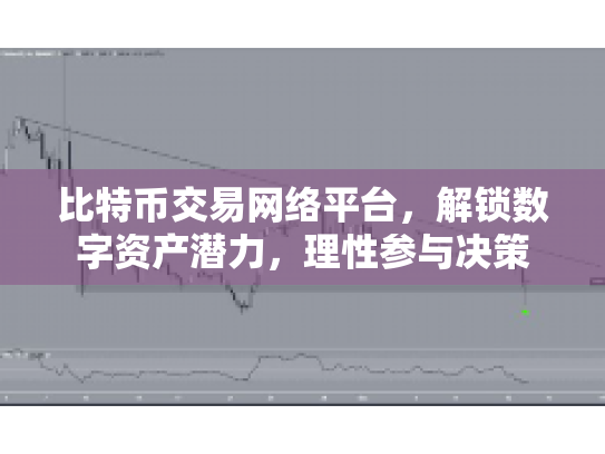 比特币交易网络平台，解锁数字资产潜力，理性参与决策