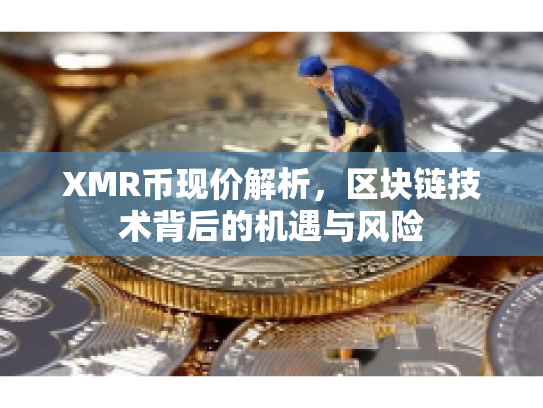 XMR币现价解析,区块链技术背后的机遇与风险 XMR币现价解析,区块链技术背后的机遇与风险