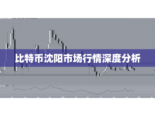 比特币沈阳市场行情深度分析 比特币沈阳市场行情深度分析