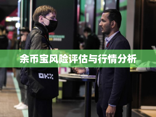余币宝风险评估与行情分析 余币宝风险评估与行情分析