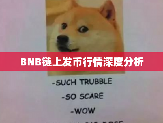 BNB链上发币行情深度分析