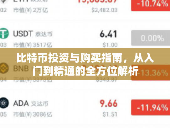 比特币投资与购买指南,从入门到精通的全方位解析 比特币投资与购买指南,从入门到精通的全方位解析