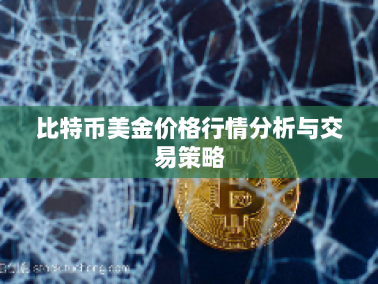 比特币美金价格行情分析与交易策略 比特币美金价格行情分析与交易策略
