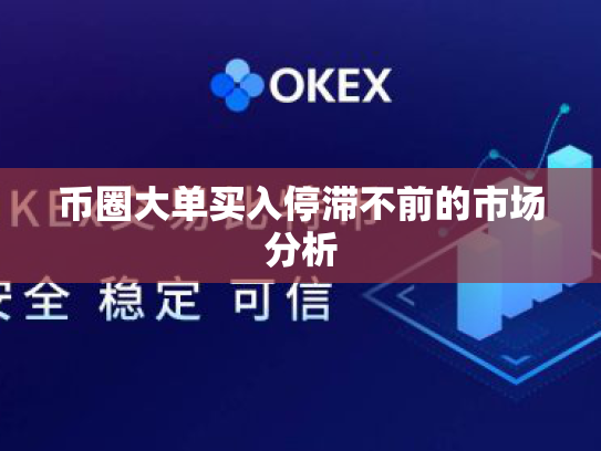 币圈大单买入停滞不前的市场分析