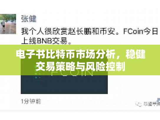 电子书比特币市场分析,稳健交易策略与风险控制 电子书比特币市场分析,稳健交易策略与风险控制