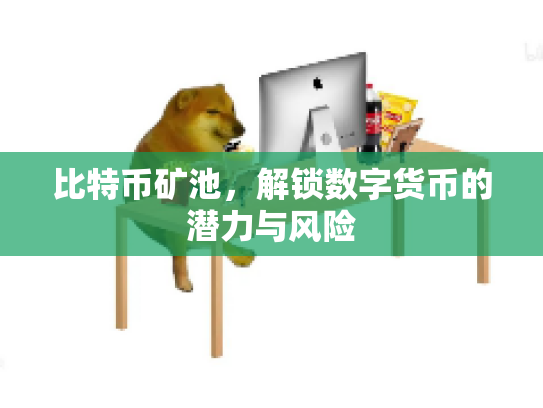 比特币矿池,解锁数字货币的潜力与风险 比特币矿池,解锁数字货币的潜力与风险
