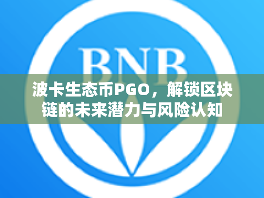 波卡生态币PGO,解锁区块链的未来潜力与风险认知 波卡生态币PGO,解锁区块链的未来潜力与风险认知