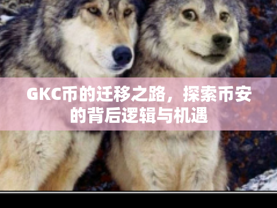 GKC币的迁移之路，探索币安的背后逻辑与机遇