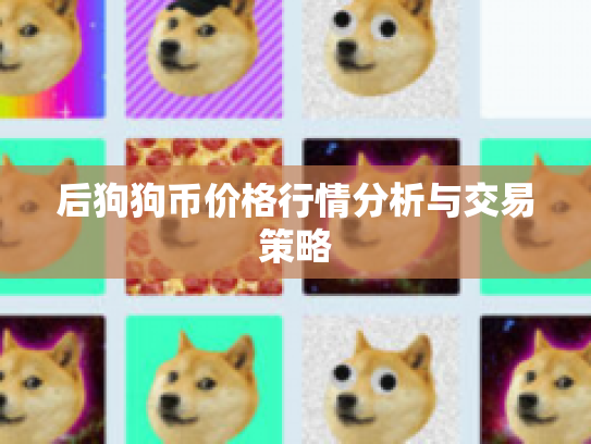 后狗狗币价格行情分析与交易策略