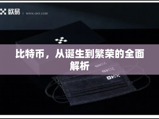 比特币,从诞生到繁荣的全面解析 比特币,从诞生到繁荣的全面解析
