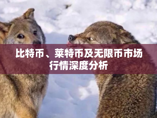 比特币、莱特币及无限币市场行情深度分析 比特币、莱特币及无限币市场行情深度分析
